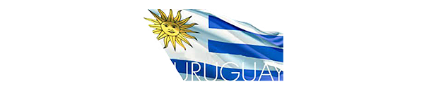 Tribunal de Contas - Uruguai - Link